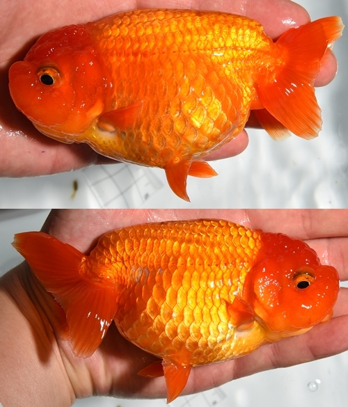 ±§Ìî¿Æ1