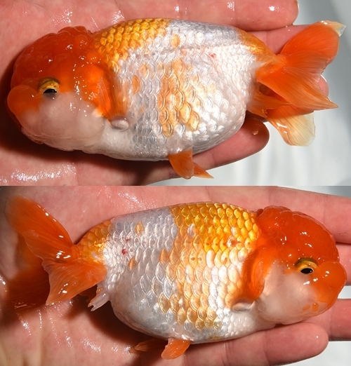 ±§Ìî¿Æ5