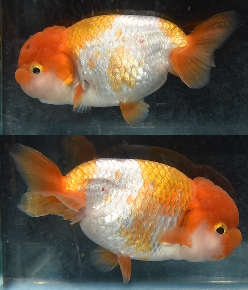±§Ìî¿Æ5
