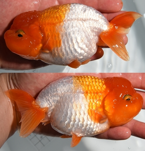 ±§Ìî¿Æ4
