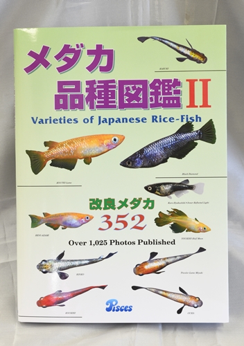 ¥á¥À¥«¿Þ´Õ2