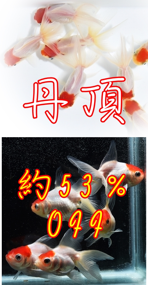 ðĺ