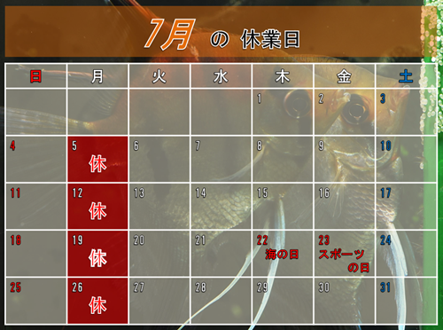 アクアツインズ 7月のカレンダー