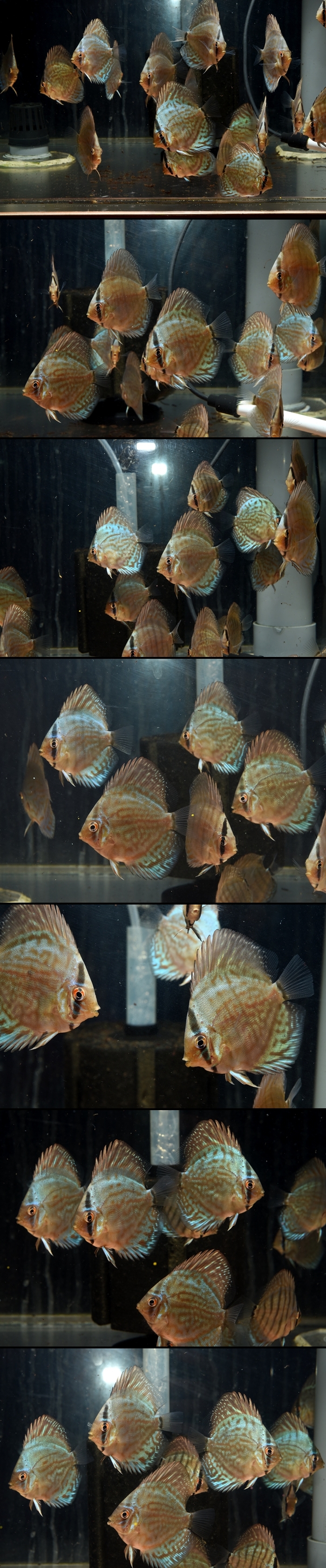 �����ѡ�����åɥ֥롼