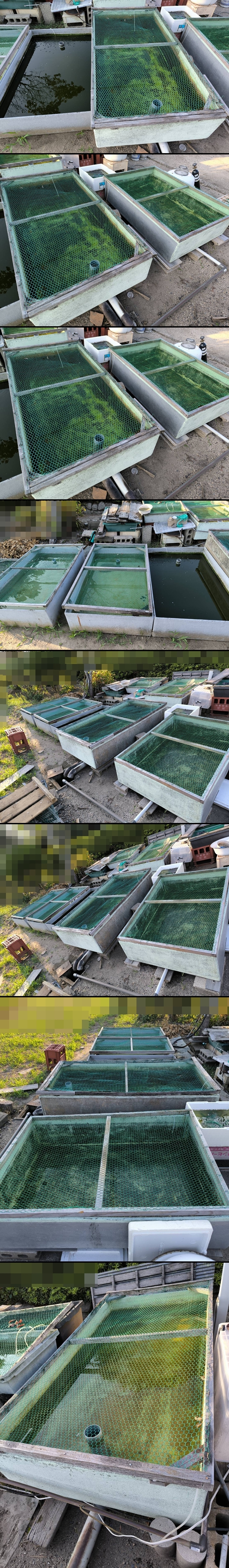 FRP池