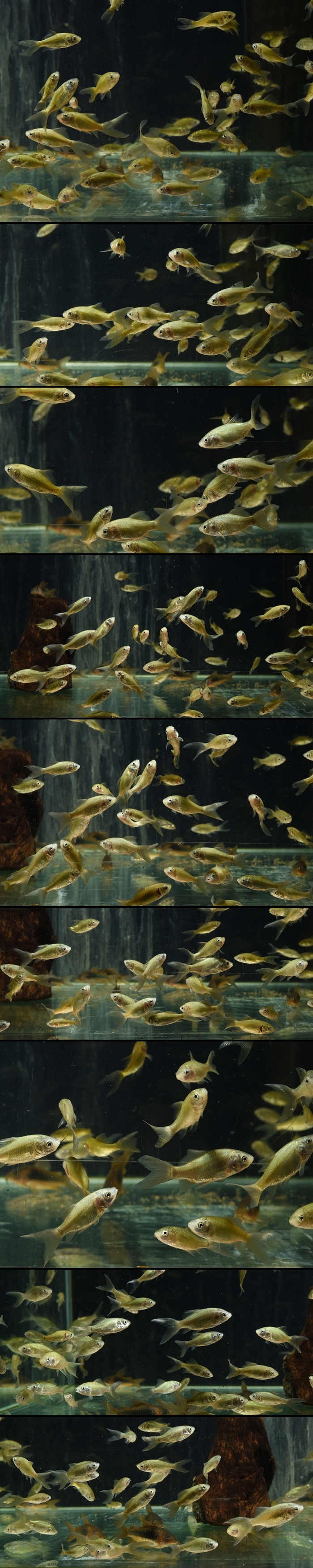 Ŵ��������