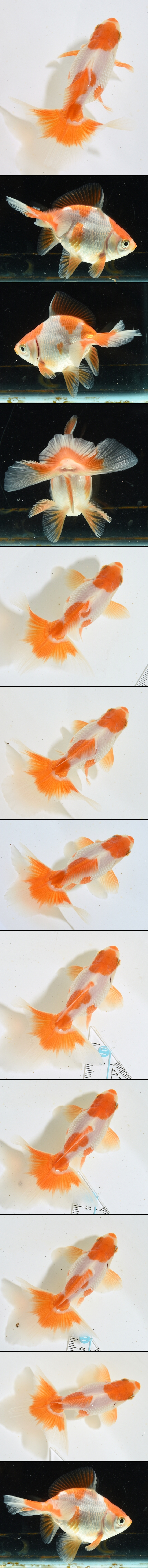 �ں��ӵ� ���е�