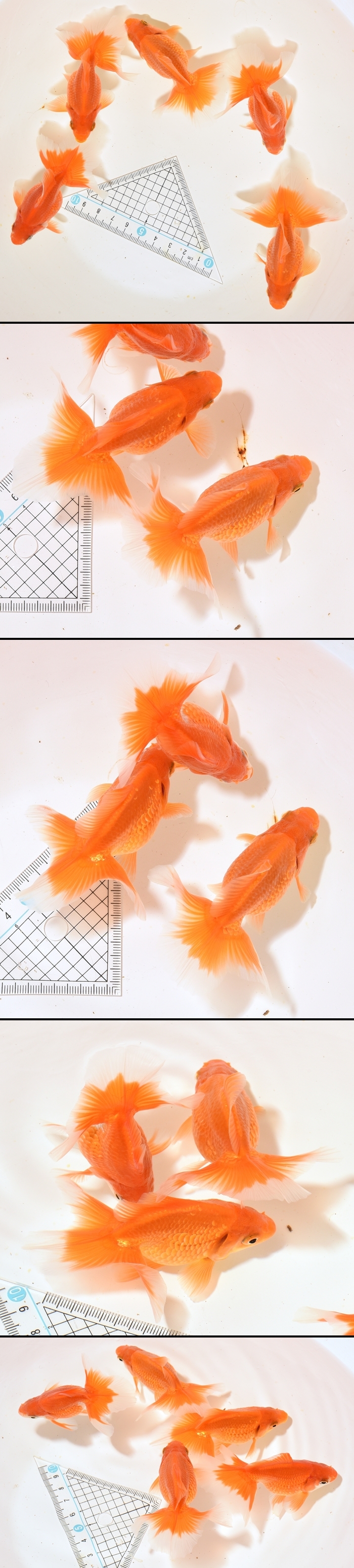 �ں��ӵ� ���е�