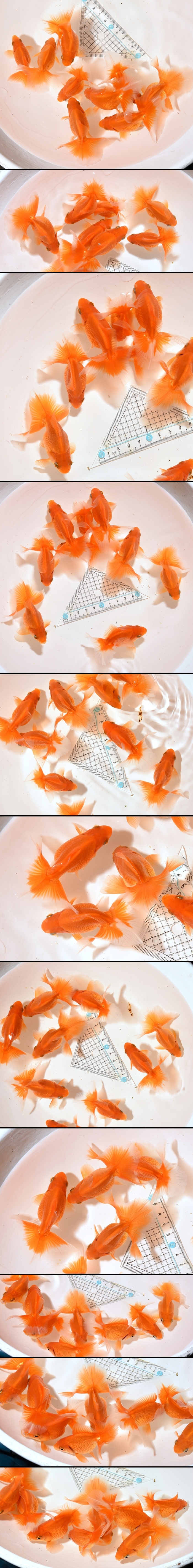 �ں��ӵ� ���е�