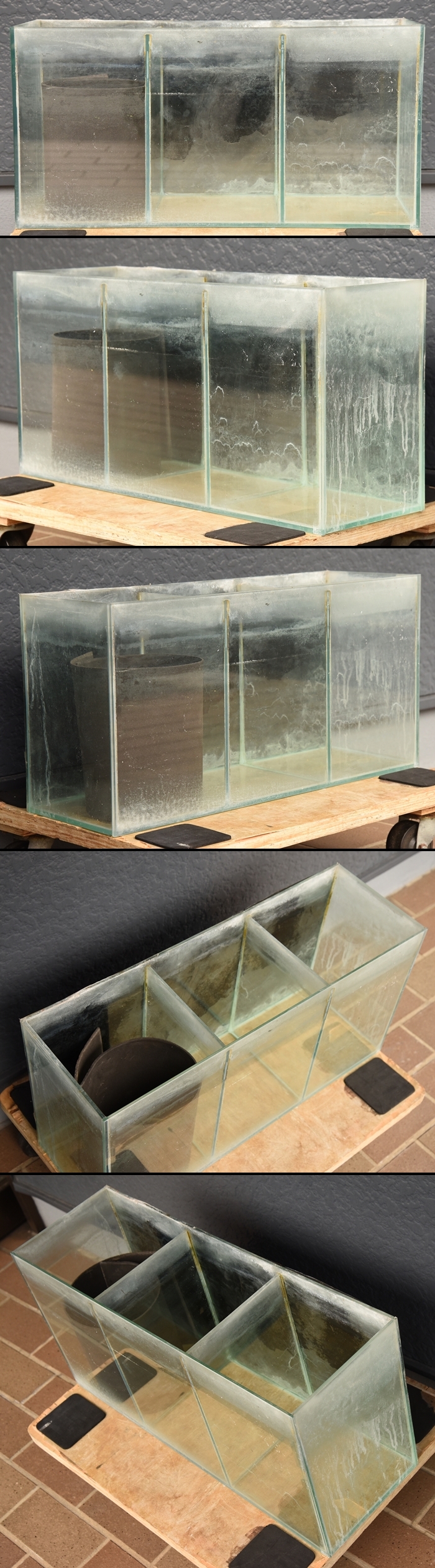 �������ѥ졼�ȿ���