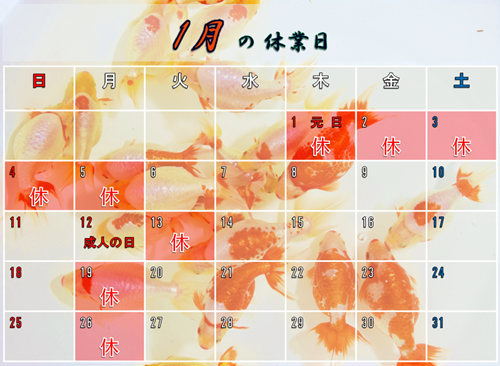 ����Υ�������