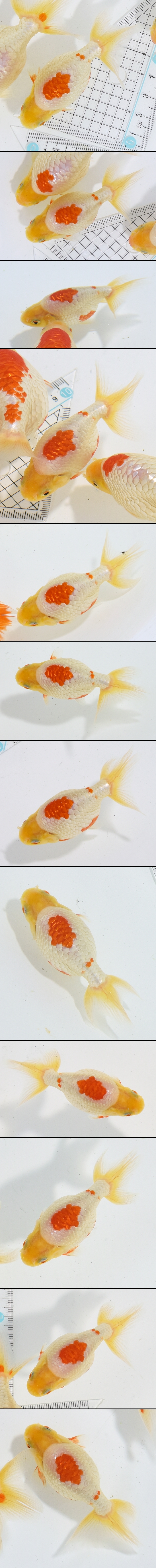 ���Ť�ʥ󥭥�