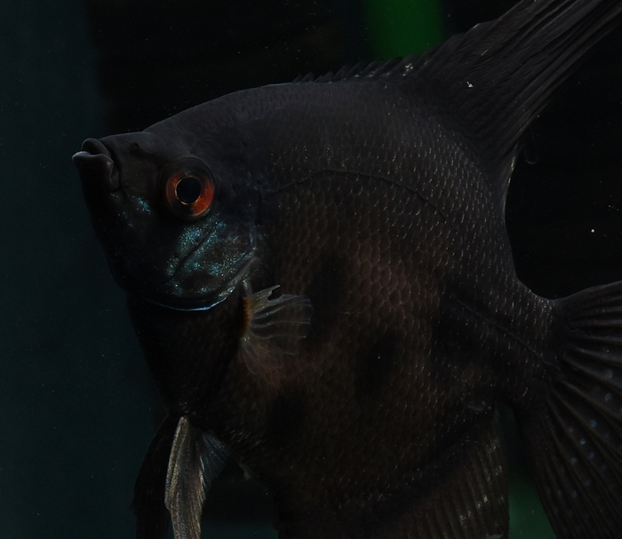 �֥�å�������