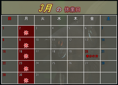 ����Υ�������