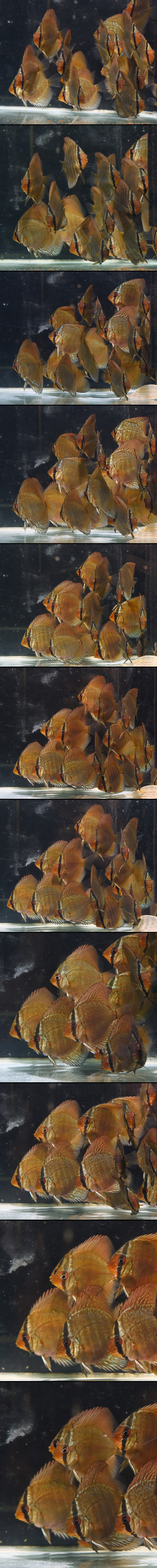 �����ȥ�������