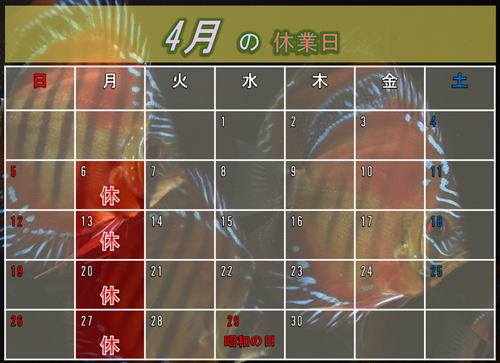 ����Υ�������