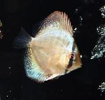 JW�軰���� �˥塼�����ͥ졼�����