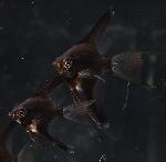 �֥�å������󥨥󥼥�