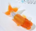 ����Ϥ����夦�ںǸ����¢���Ρ� ����ѻ��е� ��2