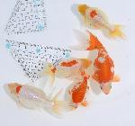 ������ʥ󥭥� ���е� ������ �������� �ںǽ����ߴ���ʪ�ۡ�ñ�Ρ� 21 - 25