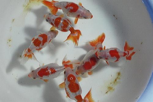 ���������ӥ������桪