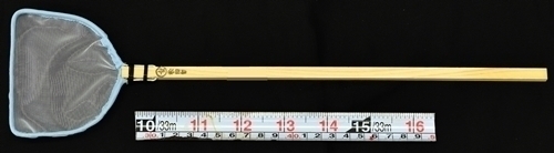 ���ĵ��� ������յ������֡�����-3 ���