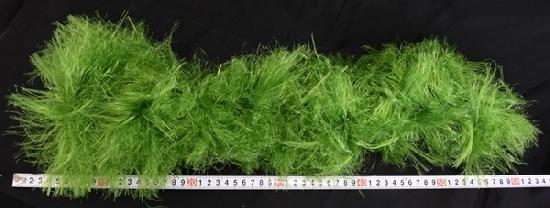 �͹�����������60�����