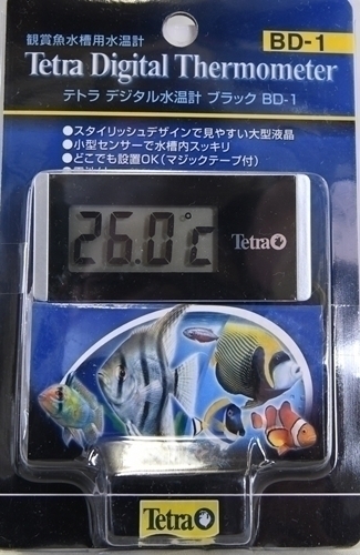 �ǥ�����岹�� �ڹ���