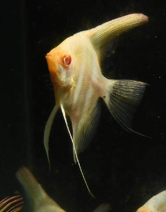 ӥΥڥ롼륿२󥼥롡ڥΡޥơ