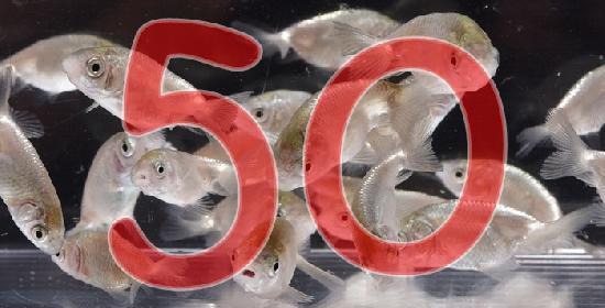 Ϥ夦  η50ɤåȡ
