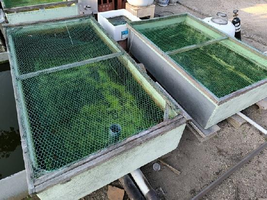 ����š�FRP�� �� 6�𥻥å�