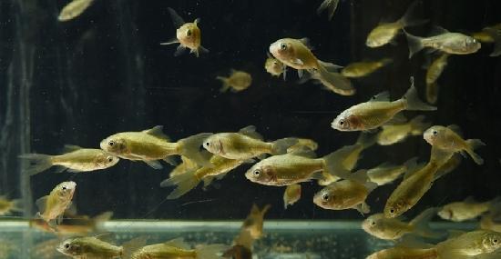 Ŵ�������е�