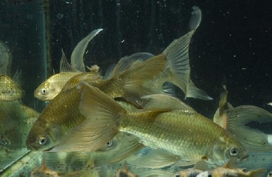 Ŵ�� 2024ǯ��