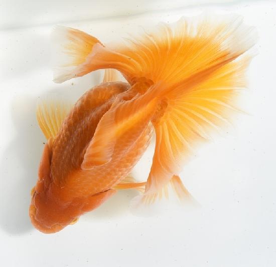 ������������ �ں��ӵ� ���˾�ʪ���е��� ��3