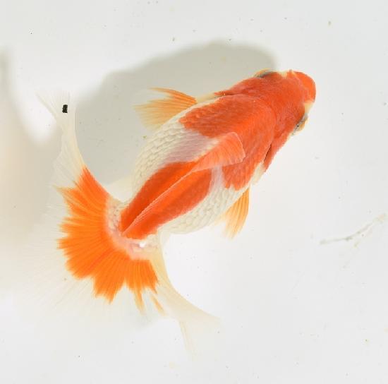 ������������ �ں��ӵ� ���˾�ʪ���е��� ������-1��