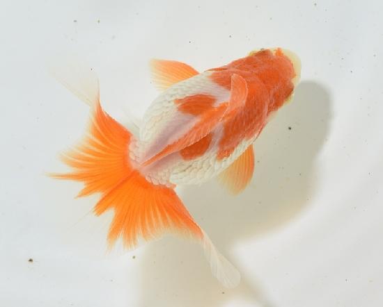 ������������ �ں��ӵ� ���˾�ʪ���е��� ������-3��