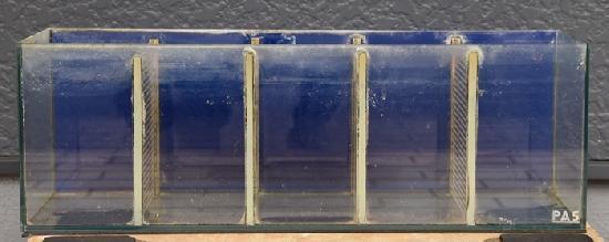 ��USED��PAS �٥����� (������������æ��)