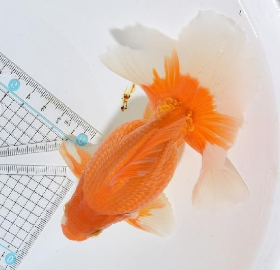 ������������ �ں��ӵ� ����ʪ2024(����6)ǯ���� ��2