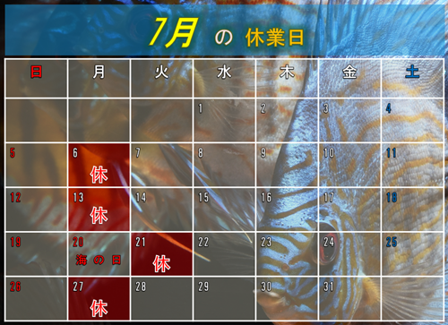 ７月のカレンダー