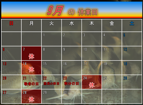 ９月のカレンダー