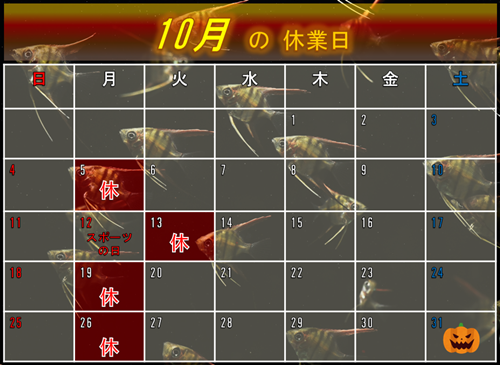 １０月のカレンダー