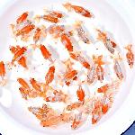 いずもナンキン当歳魚更紗（訳あり特価品）