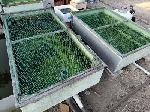 【中古】FRP池 × 6基セット