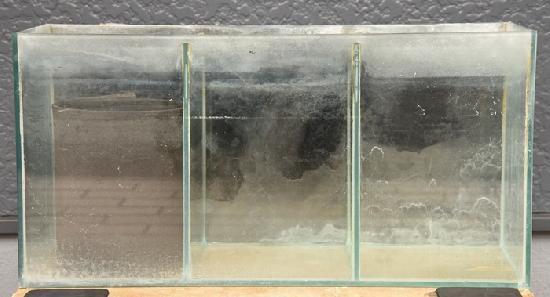 【USED】3室セパレート水槽